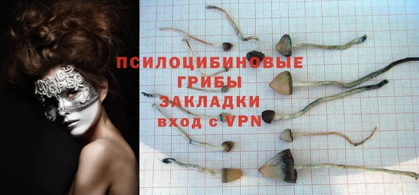 гидропоника Алзамай