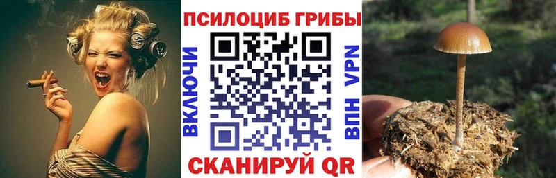 Псилоцибиновые грибы ЛСД  что такое наркотик  Межгорье 